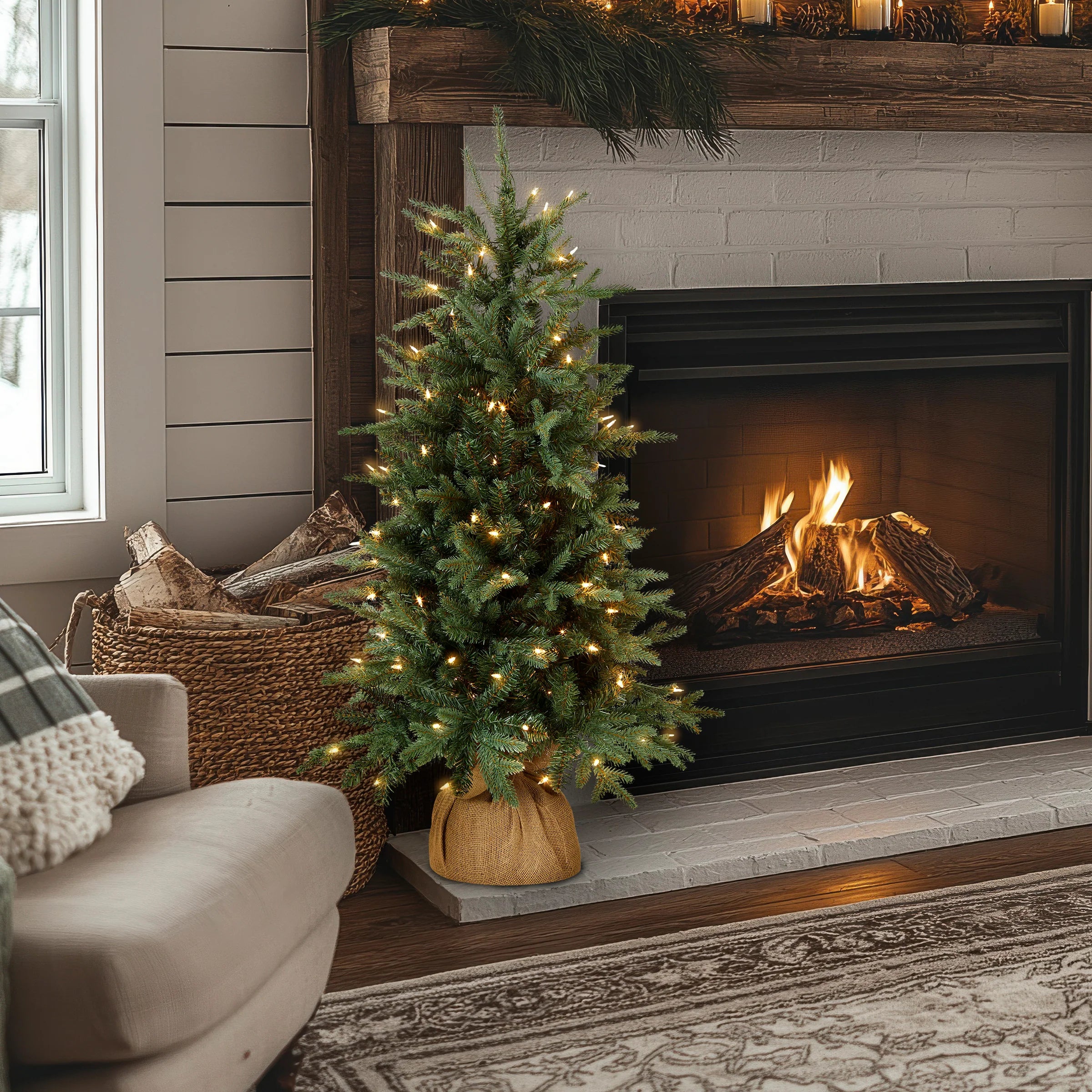 4 ft. Pre-Lit Everyday Collection Tree with Clear Lights